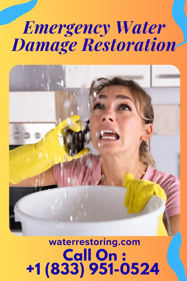 Emergency Water Damage Restoration in Forest Meadows, CA